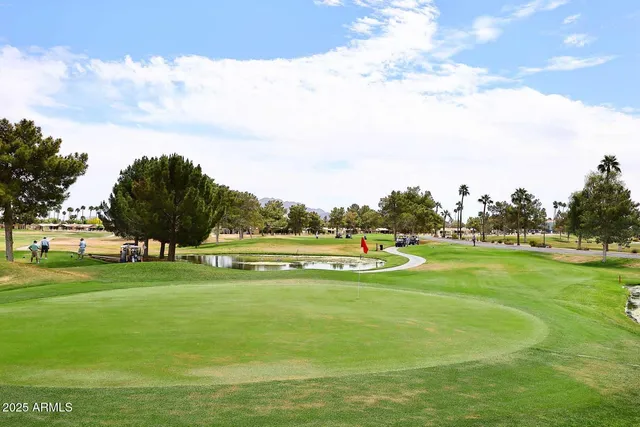 a view of a backyard