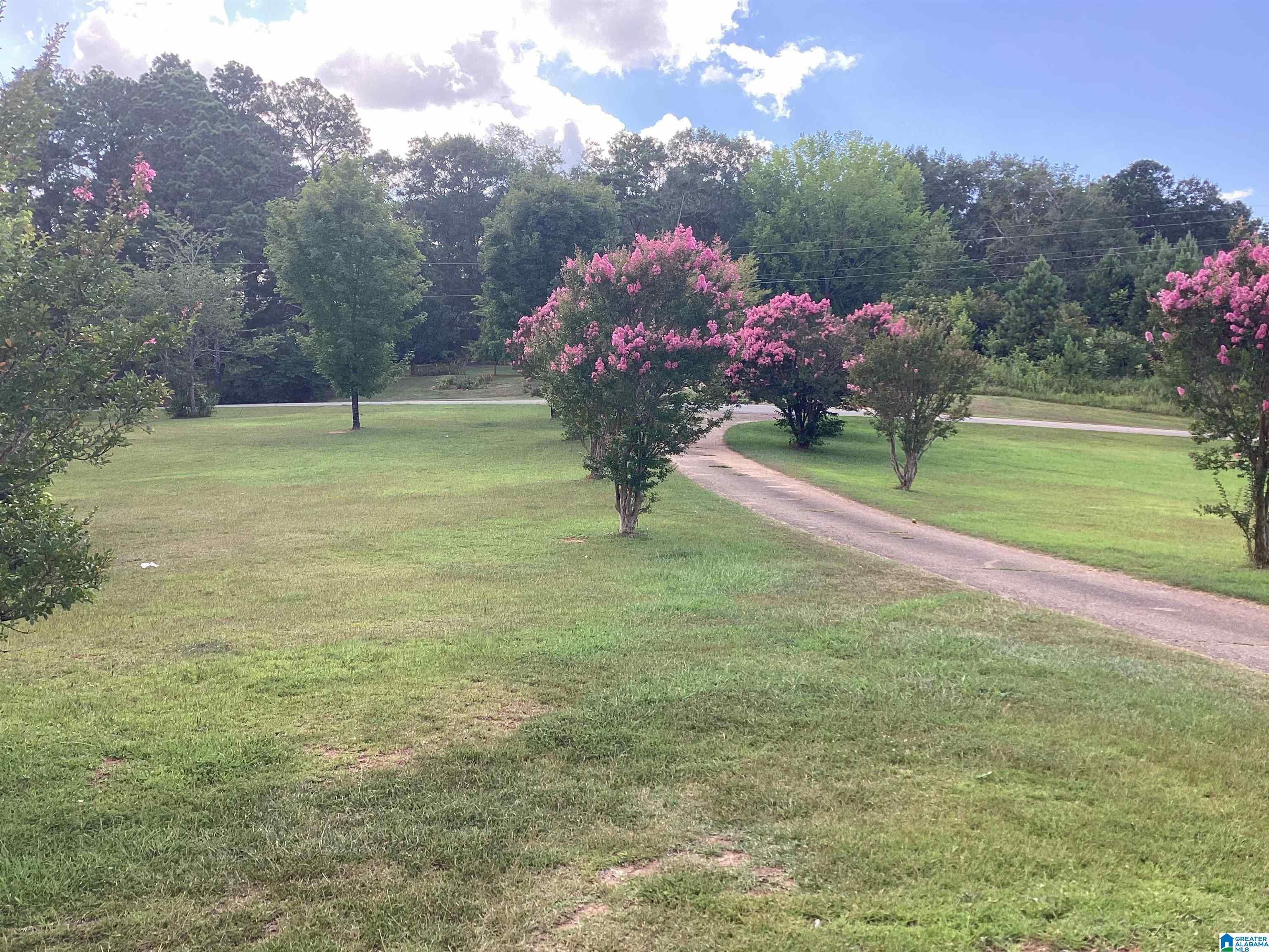 1725 Owens Road Ashland, AL 36251 - Photo 14 of 16