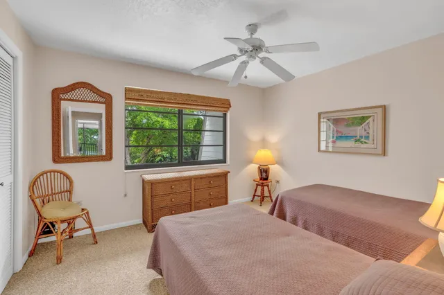 a view of a backyard with plants and large trees