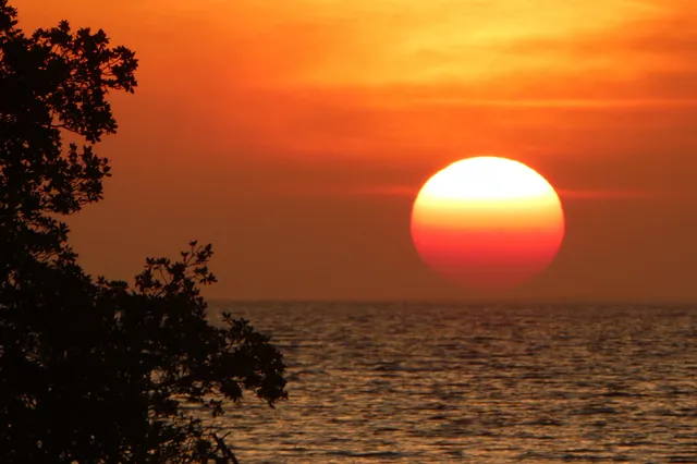 a front view of a house with a yard and potted plants
