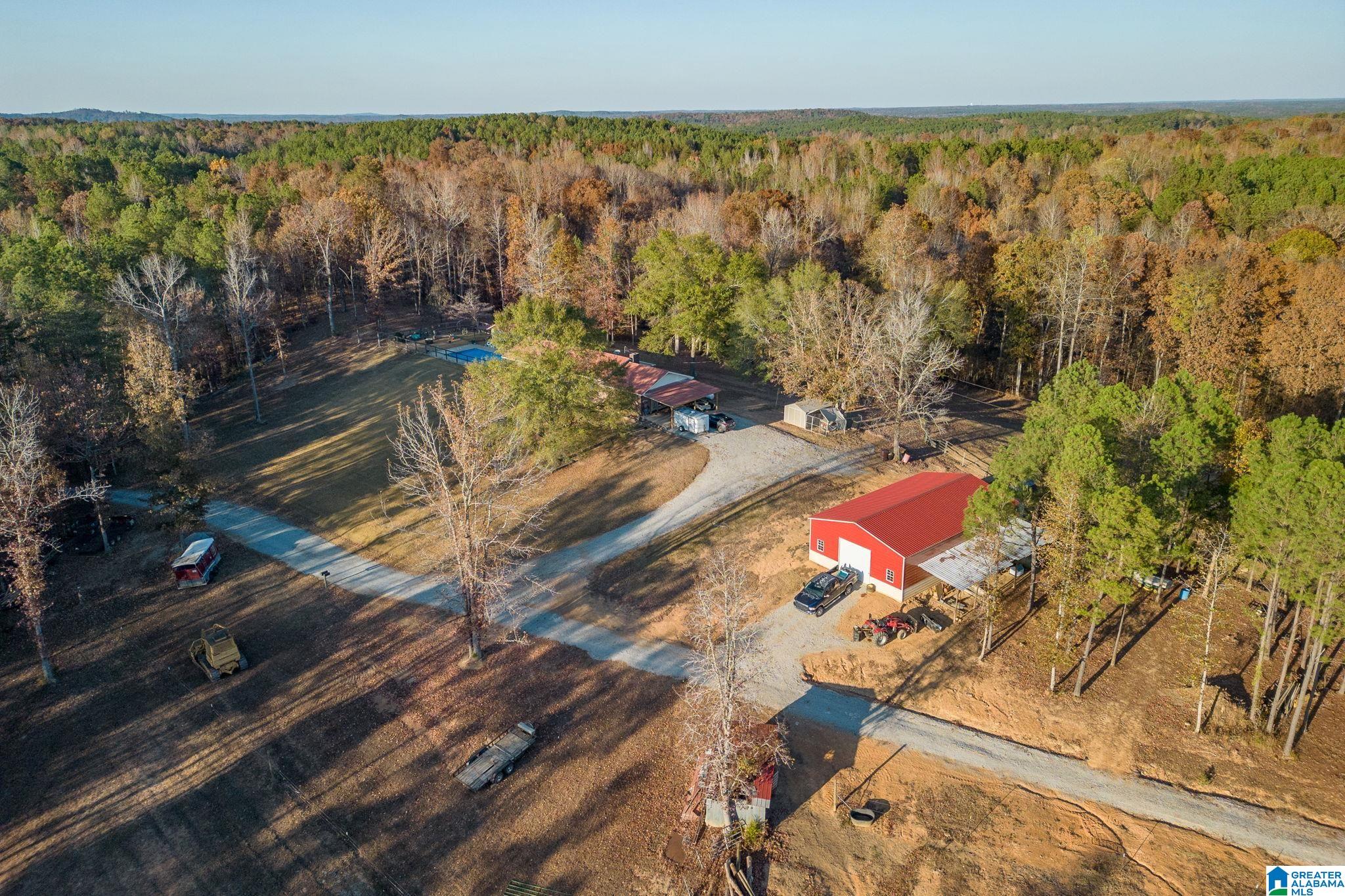4948 Beech Grove Road Townley, AL 35587 - Photo 28 of 38