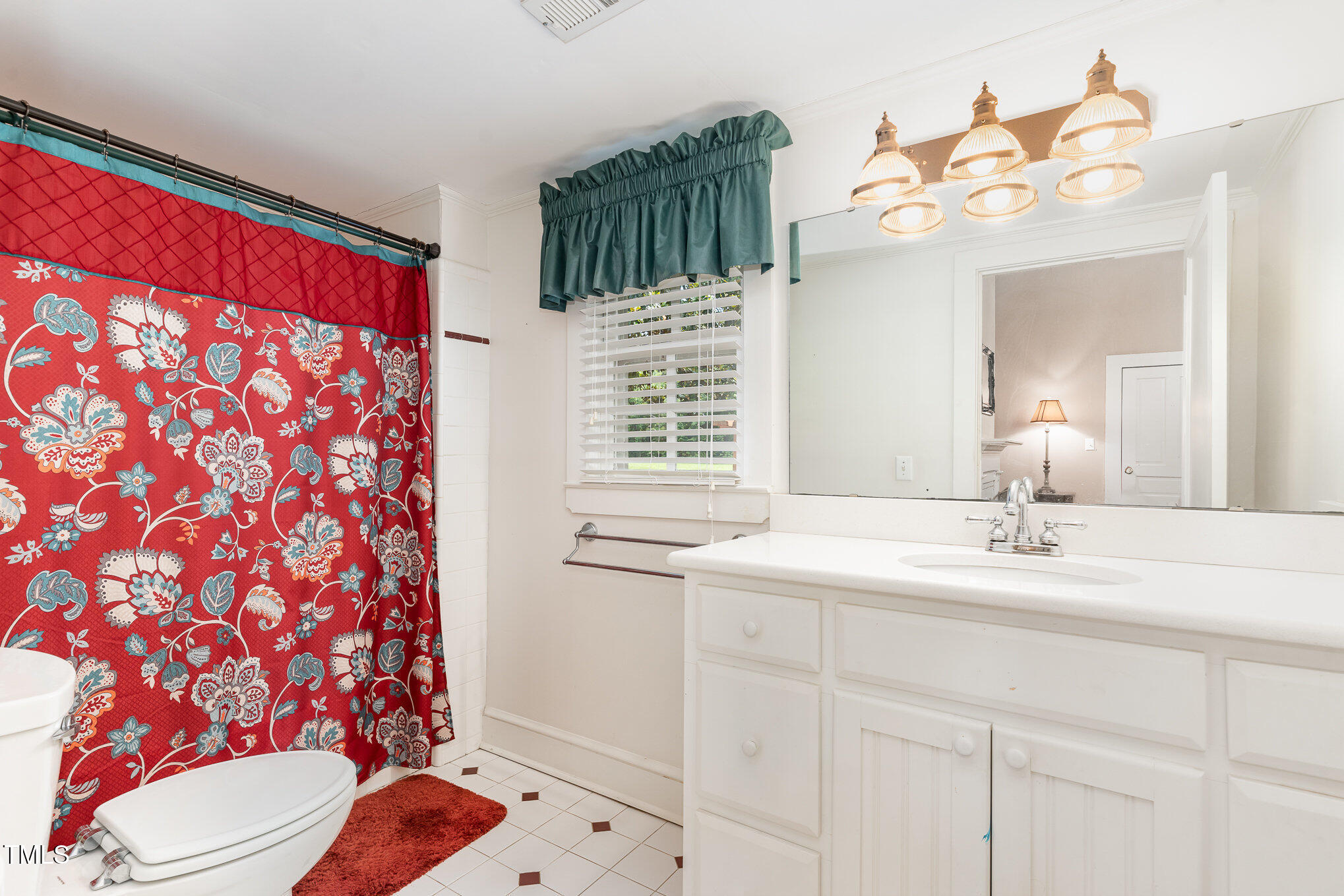 6200 Highway 401 Bunnlevel, NC 28323 - Photo 15 of 28 a bathroom with a sink a toilet and shower curtain