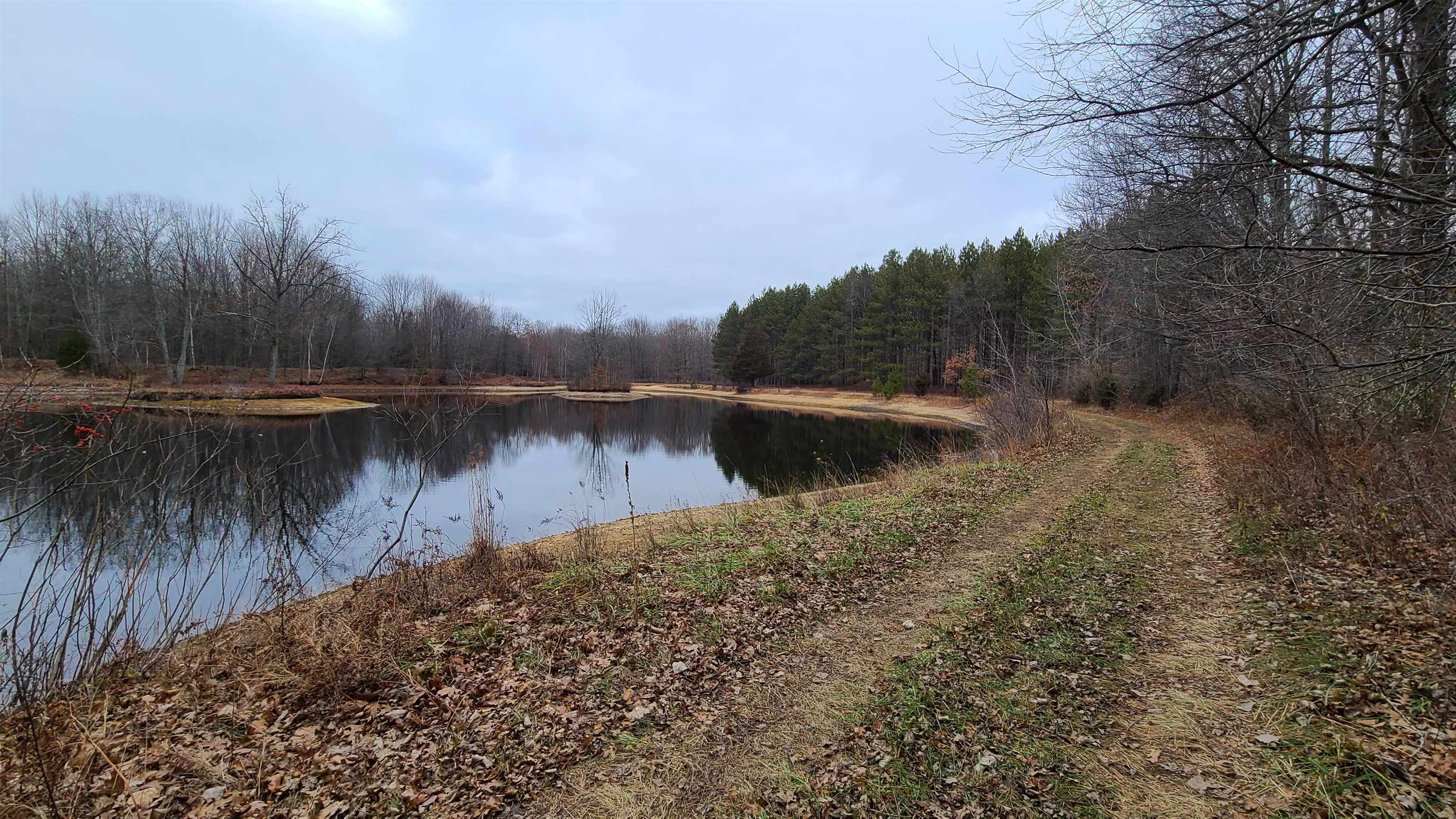 14520 Gary Road Chesaning, MI 48616 - Photo 8 of 36