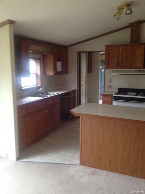 2540 Marlette Road Applegate, MI 48401 - Photo 4 of 11 18.jpg