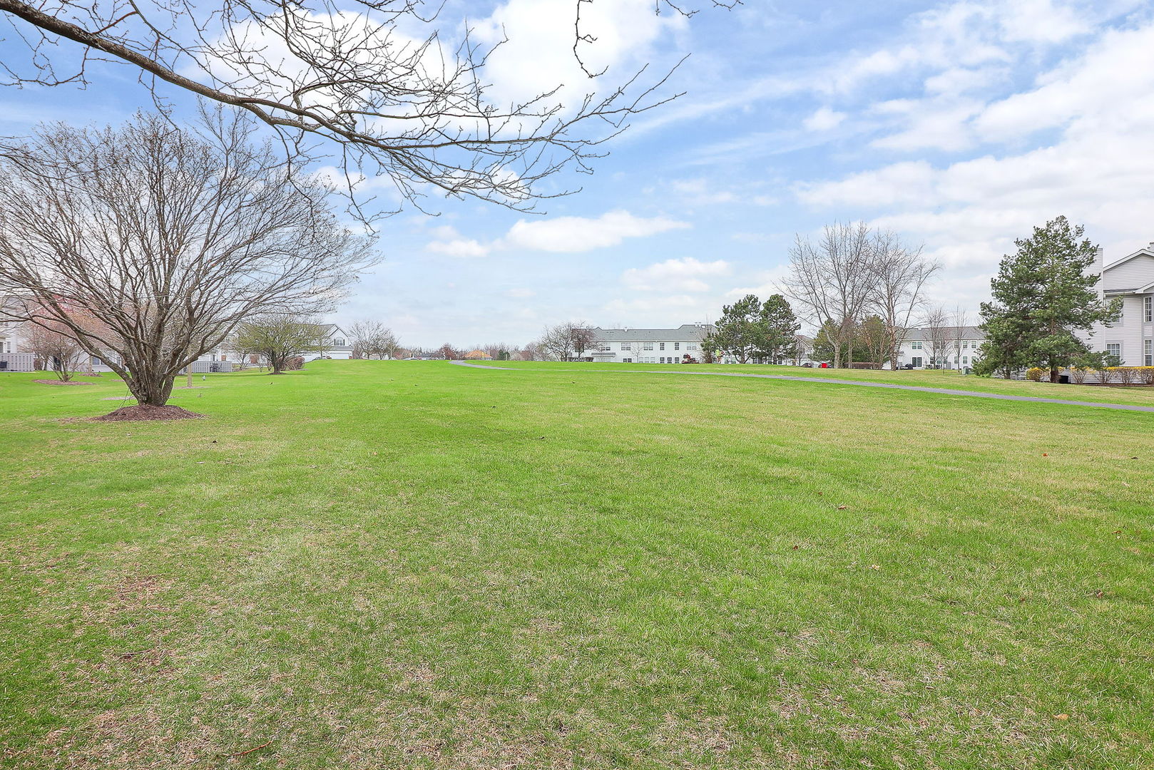 1302 Filly Lane Bartlett, IL 60103 - Photo 21 of 29 a view of yard with outdoor space