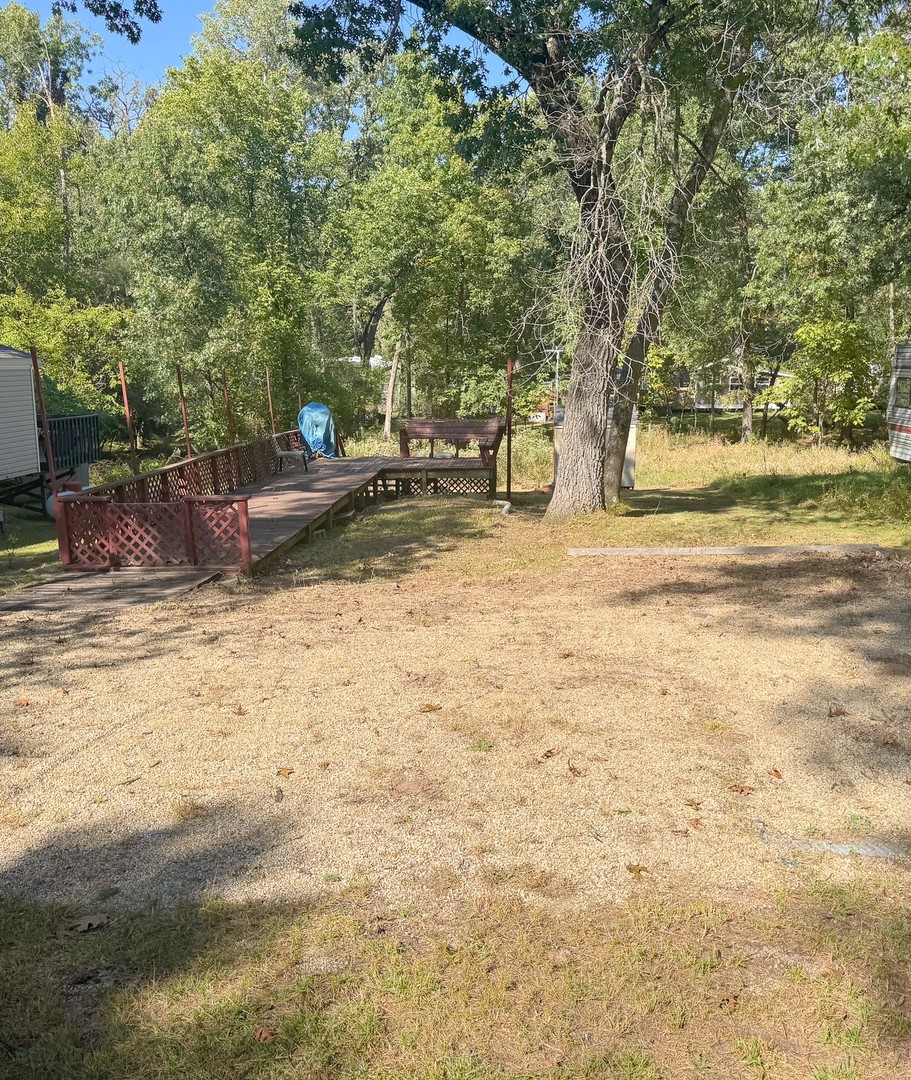 a view of yard with trees