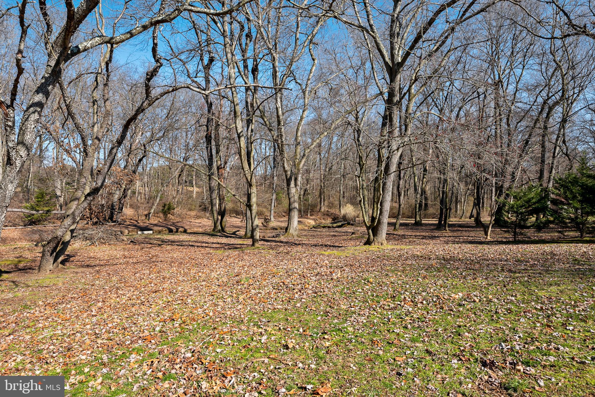 754 Oldfield Point Road Elkton, MD 21921 - Photo 46 of 49 a view of a yard with trees