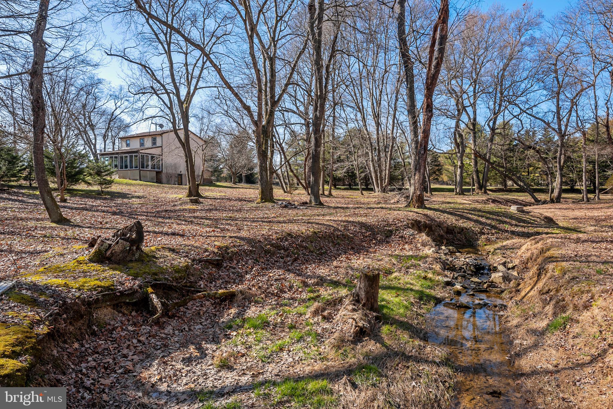 754 Oldfield Point Road Elkton, MD 21921 - Photo 47 of 49 a view of a yard with a tree
