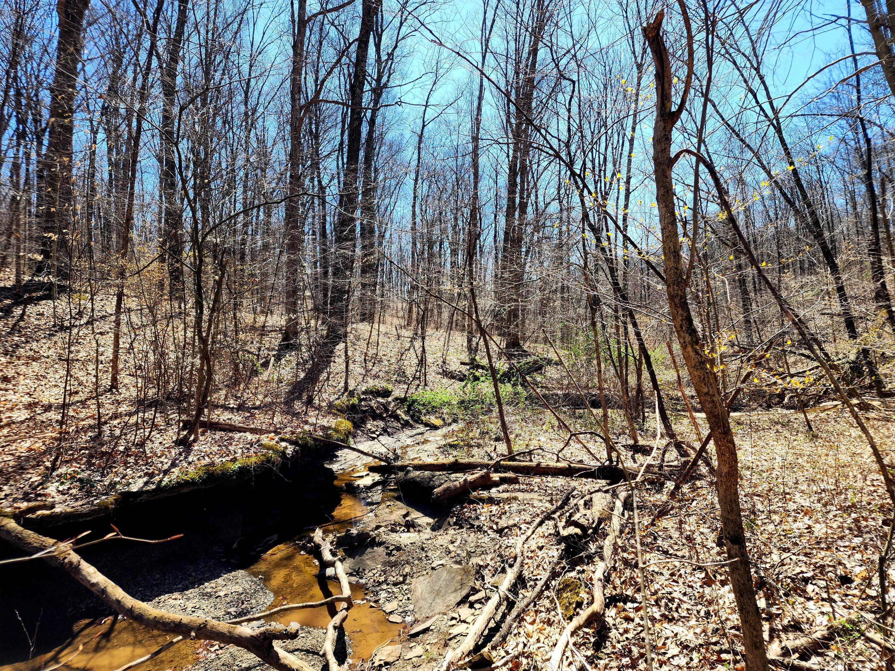0 Halleys Ridge Road Caldwell, OH 43724 - Photo 25 of 69 20230411_135947