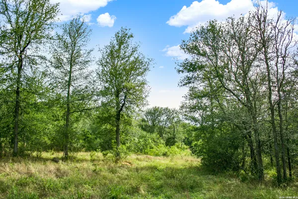 $849,900 | 0 Whitetail Drive, Cedar Creek, TX 78612
