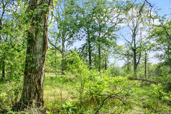 $849,900 | 0 Whitetail Drive, Cedar Creek, TX 78612