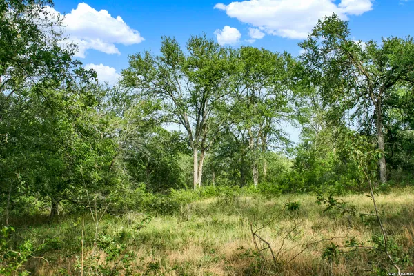 $849,900 | 0 Whitetail Drive, Cedar Creek, TX 78612
