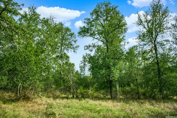$849,900 | 0 Whitetail Drive, Cedar Creek, TX 78612