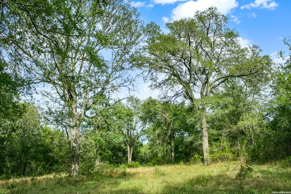 $849,900 | 0 Whitetail Drive, Cedar Creek, TX 78612