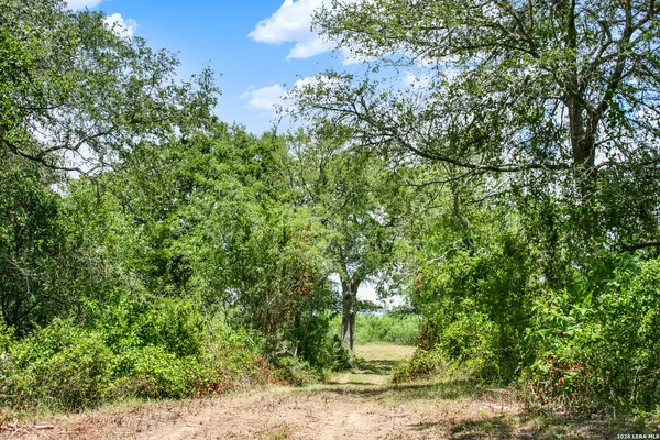 $849,900 | 0 Whitetail Drive, Cedar Creek, TX 78612
