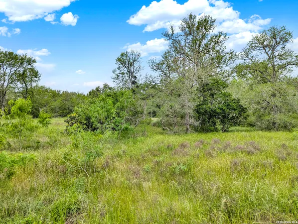 $849,900 | 0 Whitetail Drive, Cedar Creek, TX 78612