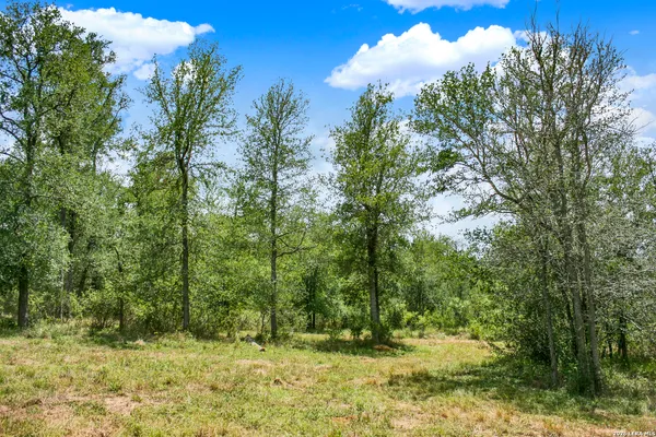 $849,900 | 0 Whitetail Drive, Cedar Creek, TX 78612
