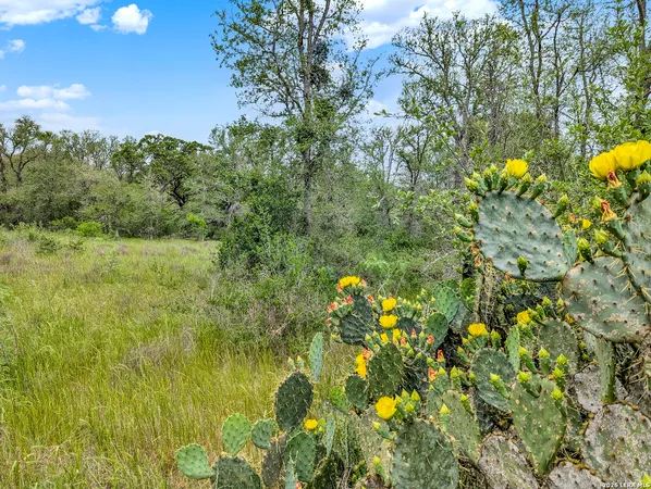 $849,900 | 0 Whitetail Drive, Cedar Creek, TX 78612