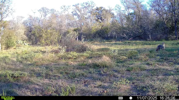 $849,900 | 0 Whitetail Drive, Cedar Creek, TX 78612