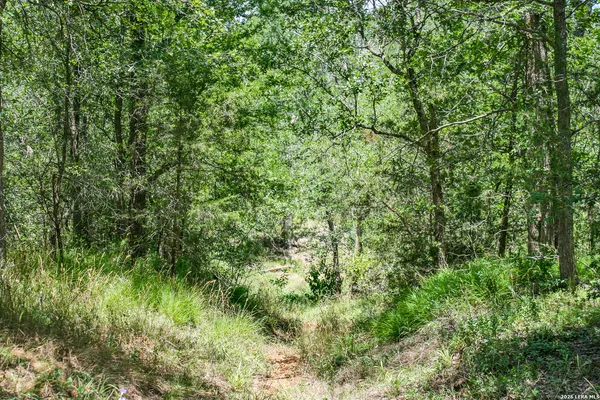 $849,900 | 0 Whitetail Drive, Cedar Creek, TX 78612