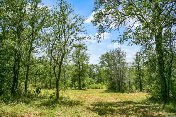 $849,900 | 0 Whitetail Drive, Cedar Creek, TX 78612