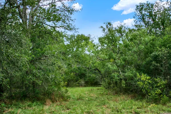 $849,900 | 0 Whitetail Drive, Cedar Creek, TX 78612