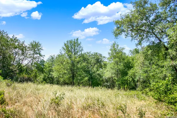 $849,900 | 0 Whitetail Drive, Cedar Creek, TX 78612