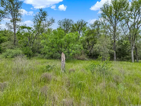 $849,900 | 0 Whitetail Drive, Cedar Creek, TX 78612