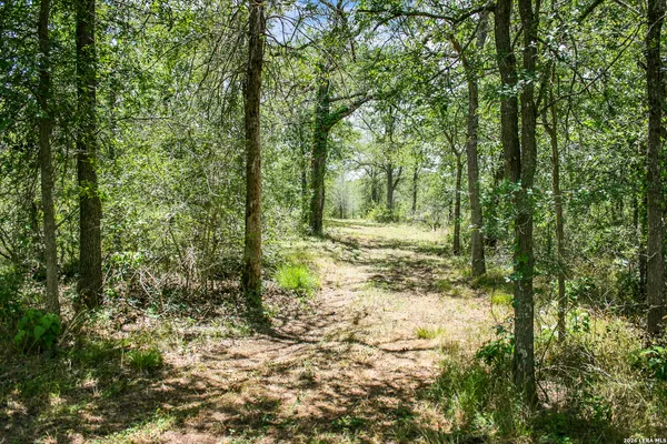 $849,900 | 0 Whitetail Drive, Cedar Creek, TX 78612