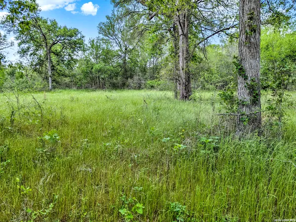 $849,900 | 0 Whitetail Drive, Cedar Creek, TX 78612