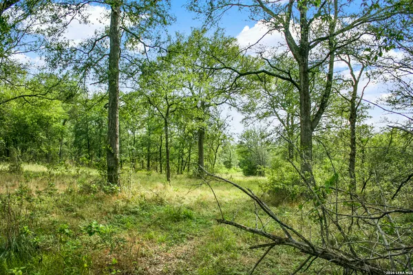 $849,900 | 0 Whitetail Drive, Cedar Creek, TX 78612