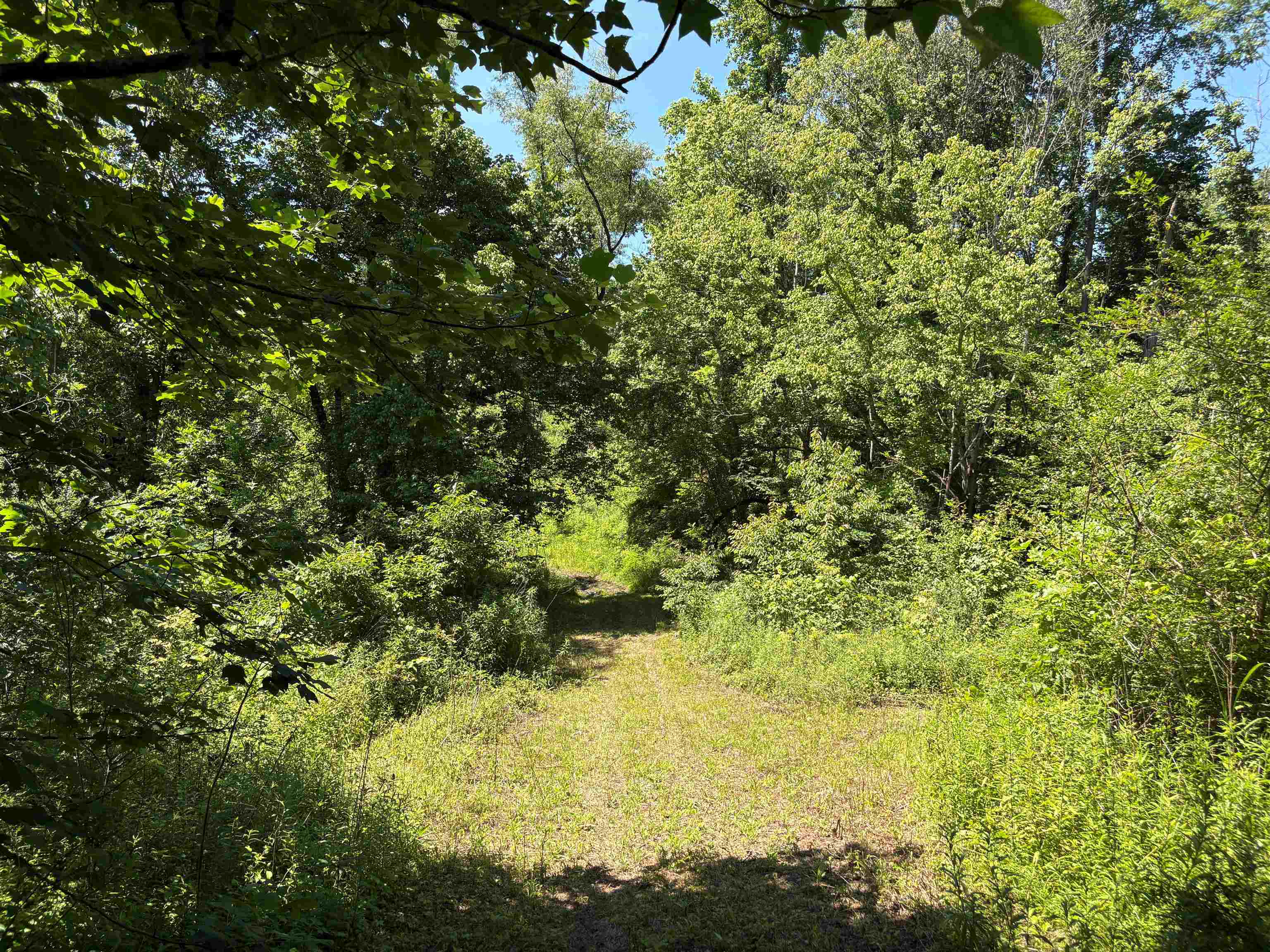 0 Walsh Road, Unit LOT 3 Millington, TN 38053 - Photo 1 of 12