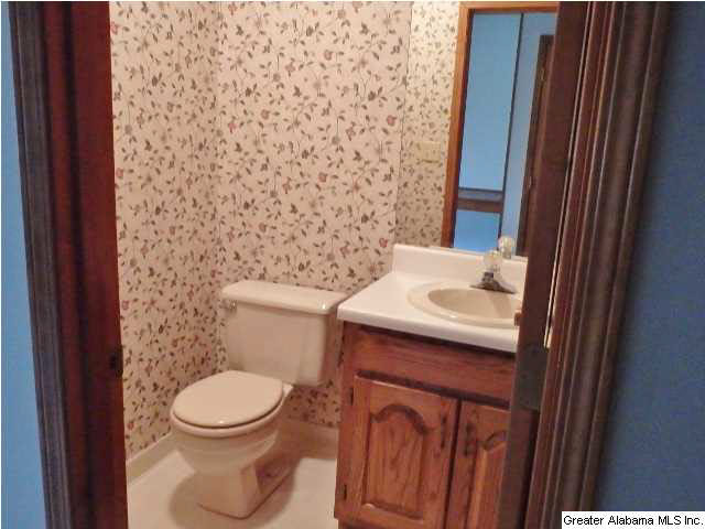 225 Cross Creek Lane Alpine, AL 35014 - Photo 5 of 19