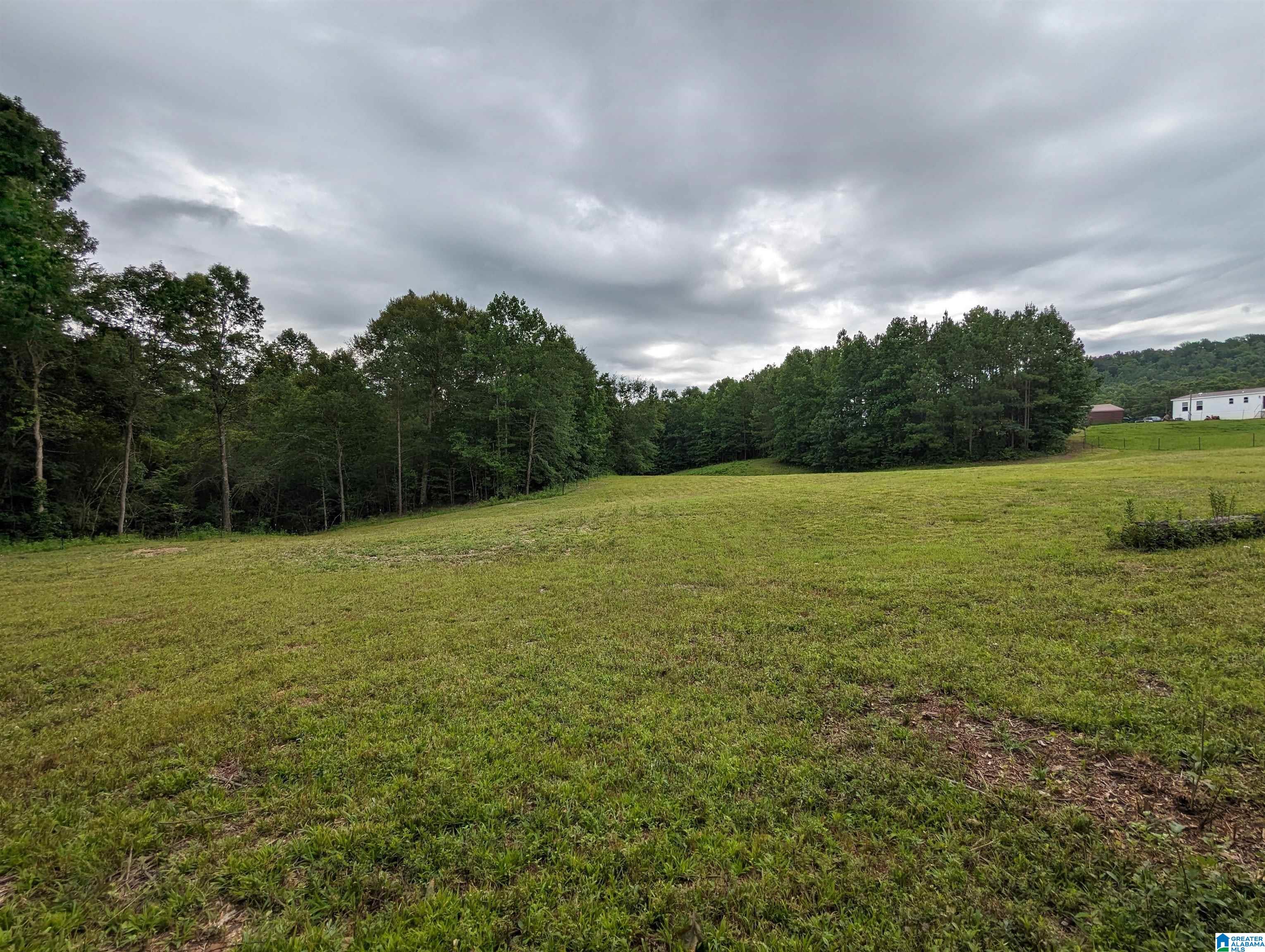 239 County Road 835 Clanton, AL 35046 - Photo 51 of 55