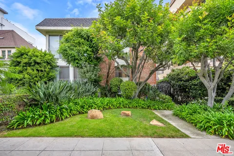 a view of a garden with plants