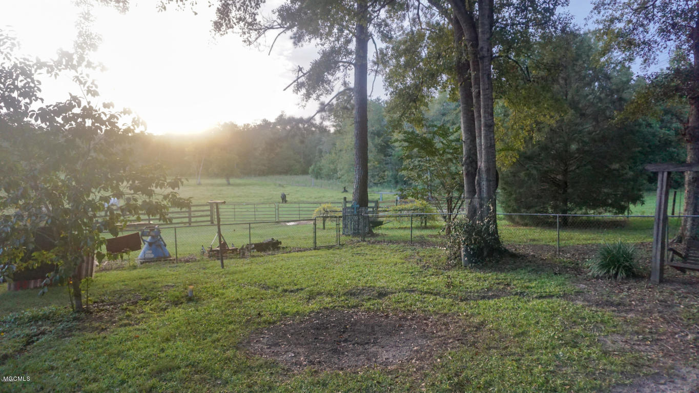 1127 River Road Lucedale, MS 39452 - Photo 29 of 43 RIVER 38