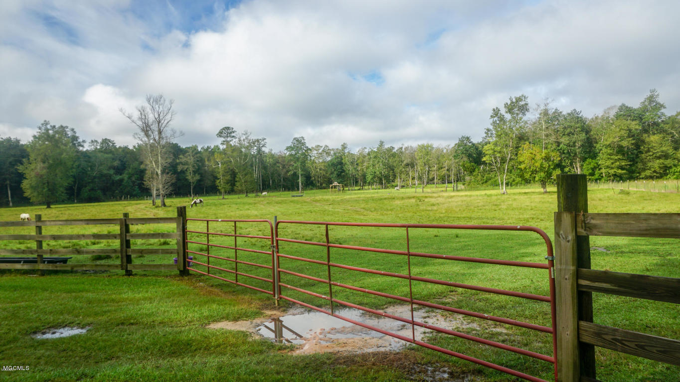 1127 River Road Lucedale, MS 39452 - Photo 33 of 43 RIVER 40