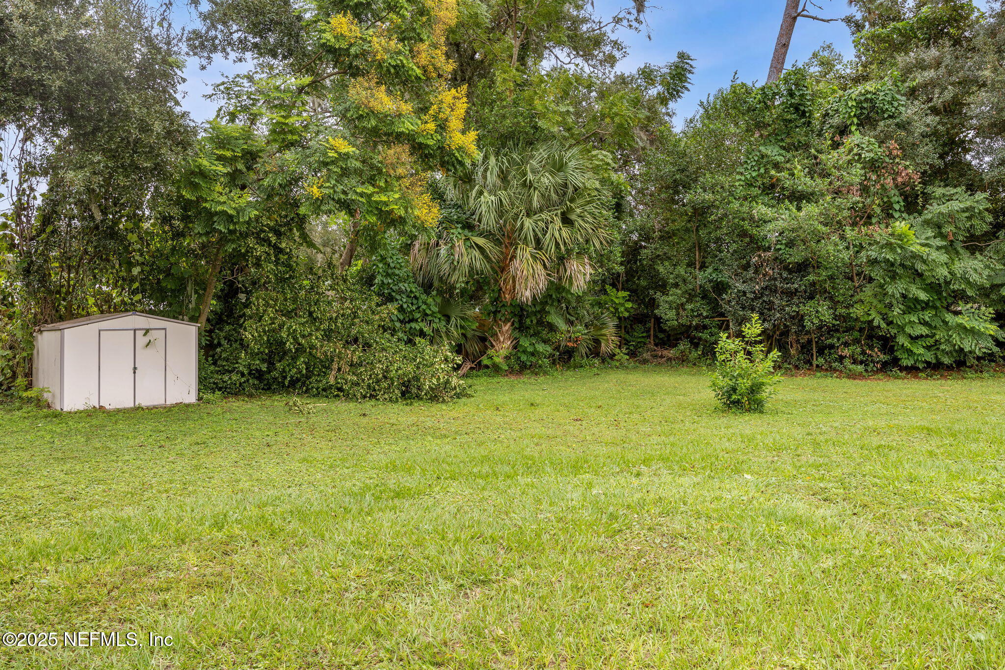 555 Glynlea Road Jacksonville, FL 32216 - Photo 31 of 32 Large yard