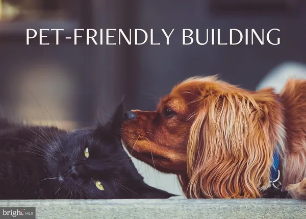 $3,000 | 5885 Colorado Avenue Northwest, Unit 401, Washington, DC 20011