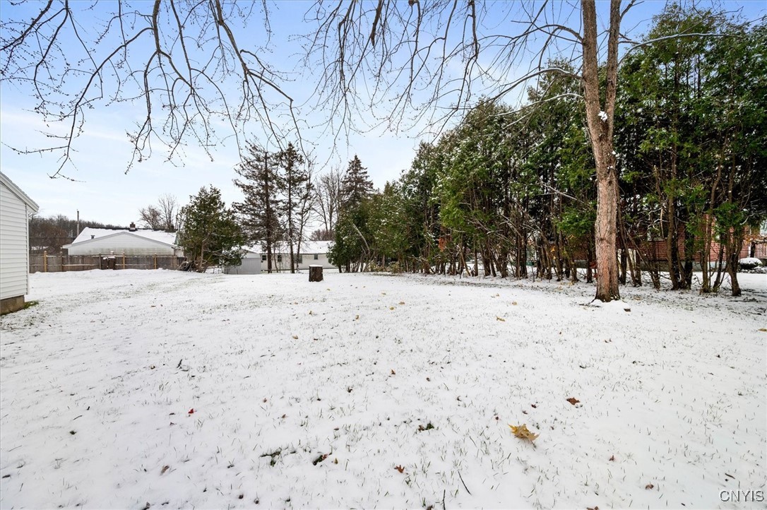 214-216 Hamilton Street Rome, NY 13440 - Photo 36 of 37 Backyard View