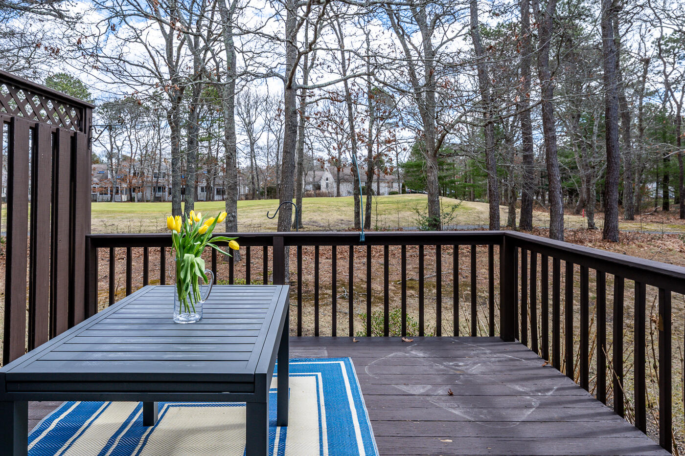 3 Longwood Road Mashpee, MA 02649 - Photo 19 of 33 Deck overlooking seventh green