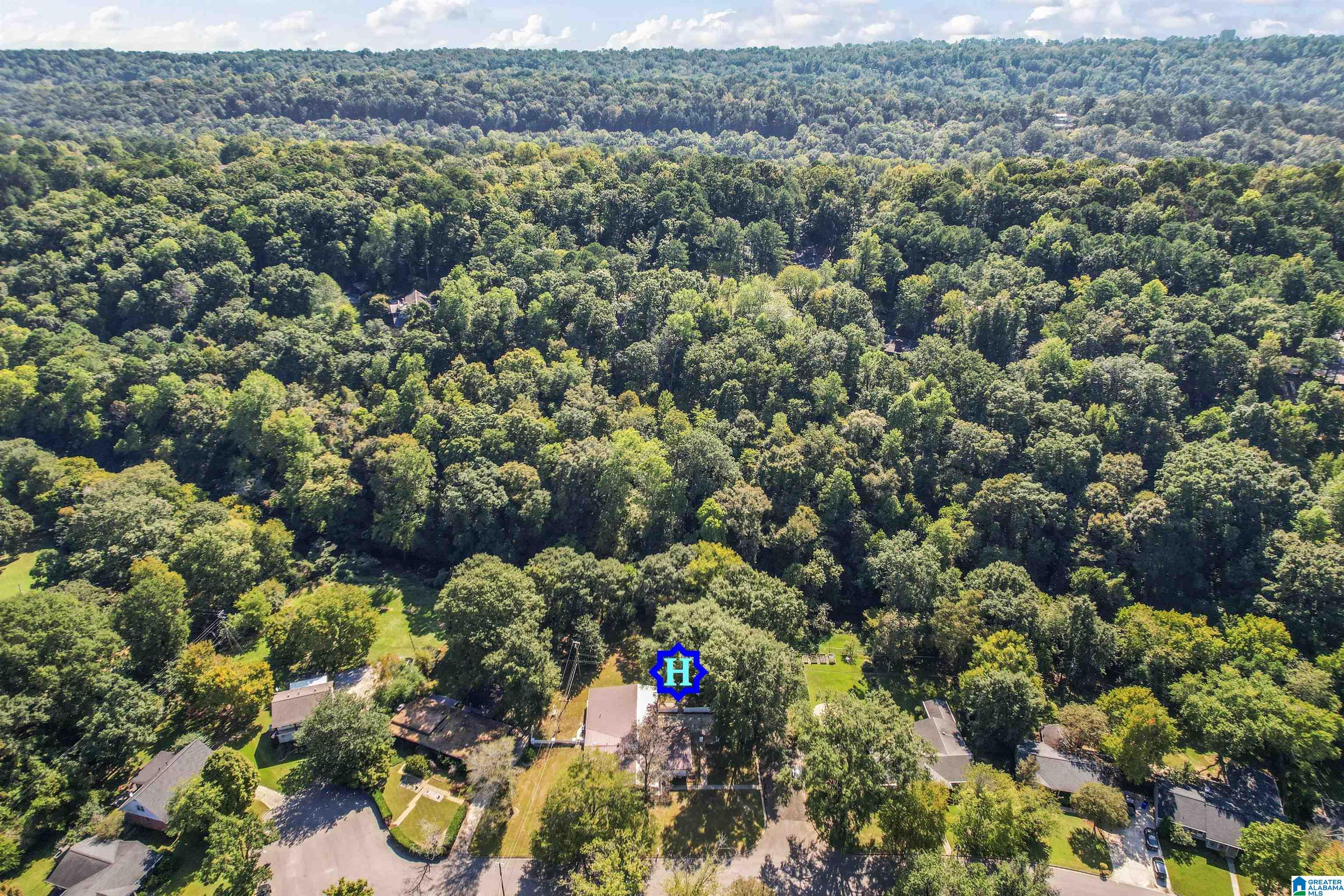 4401 MountainDale Road Birmingham, AL 35213 - Photo 46 of 50 Gallery Image 46