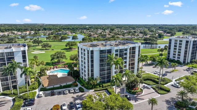 a view of a potted plants and city view