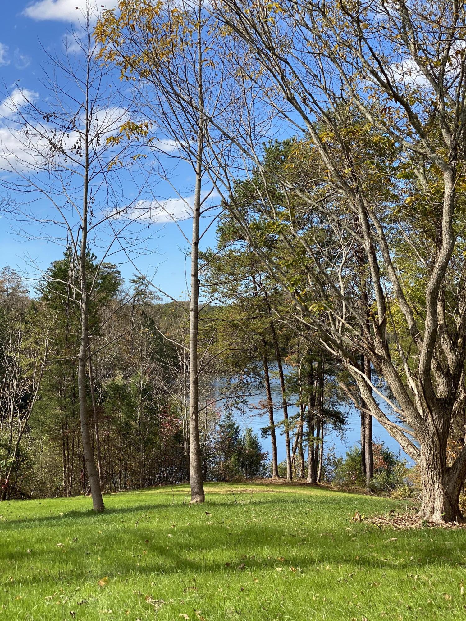 340 Bill Moser Road Vonore, TN 37885 - Photo 20 of 40 3AF4F993-F7DF-433D-8EFD-D4C95F61303A