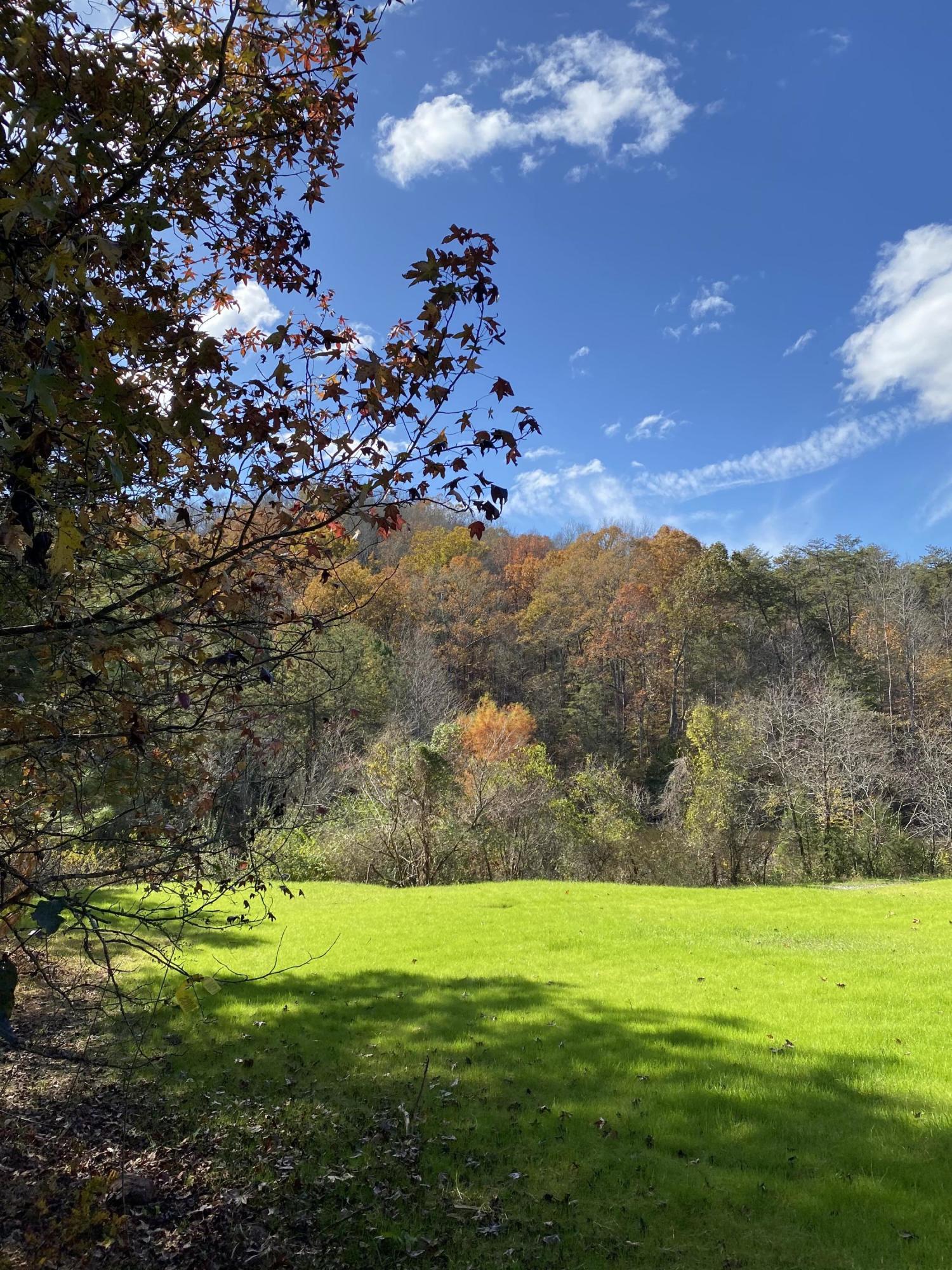 340 Bill Moser Road Vonore, TN 37885 - Photo 24 of 40 0AE109E2-2D82-4E5D-ADF7-516788F70A21
