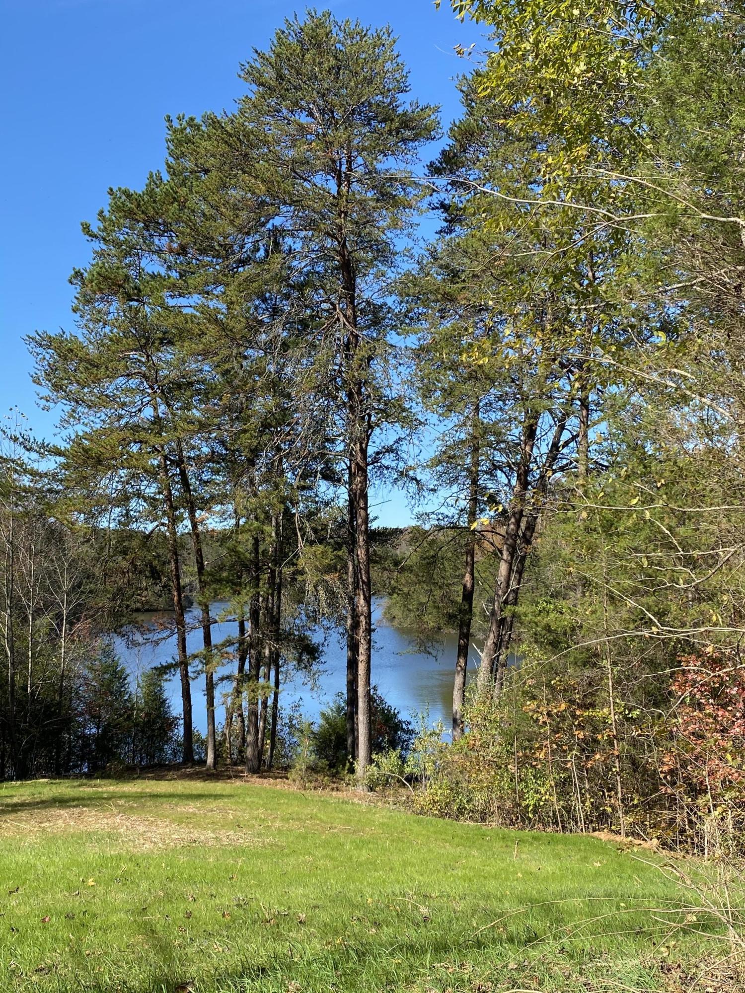340 Bill Moser Road Vonore, TN 37885 - Photo 25 of 40 E3EC0023-2A89-4A4F-A300-CB15F77BE09F