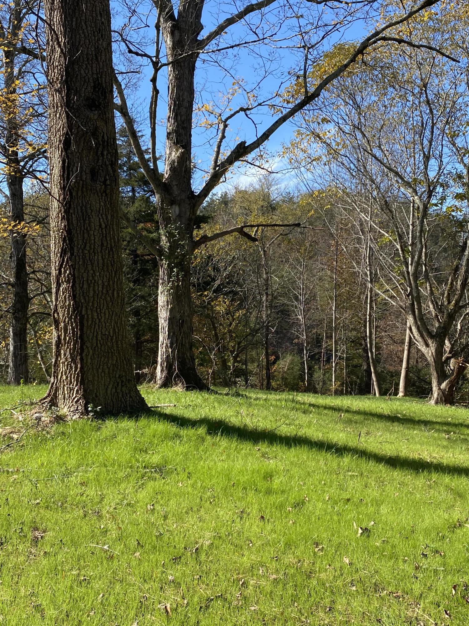340 Bill Moser Road Vonore, TN 37885 - Photo 27 of 40 B4650DE3-0EB4-4EFA-823F-E4D87AAB2204