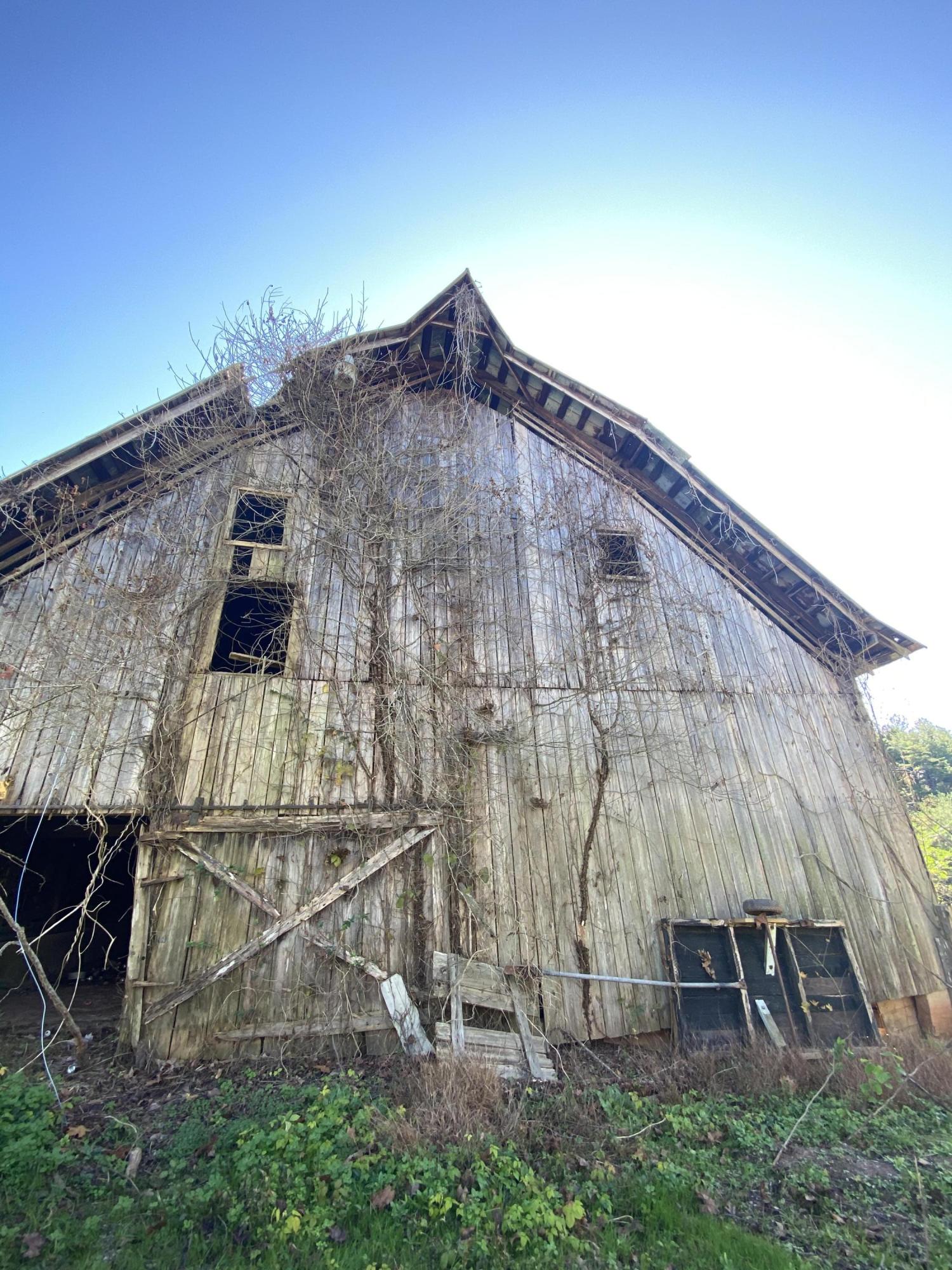 340 Bill Moser Road Vonore, TN 37885 - Photo 30 of 40 AAC226CC-10B7-4E9B-8C0A-DC7C803118A5