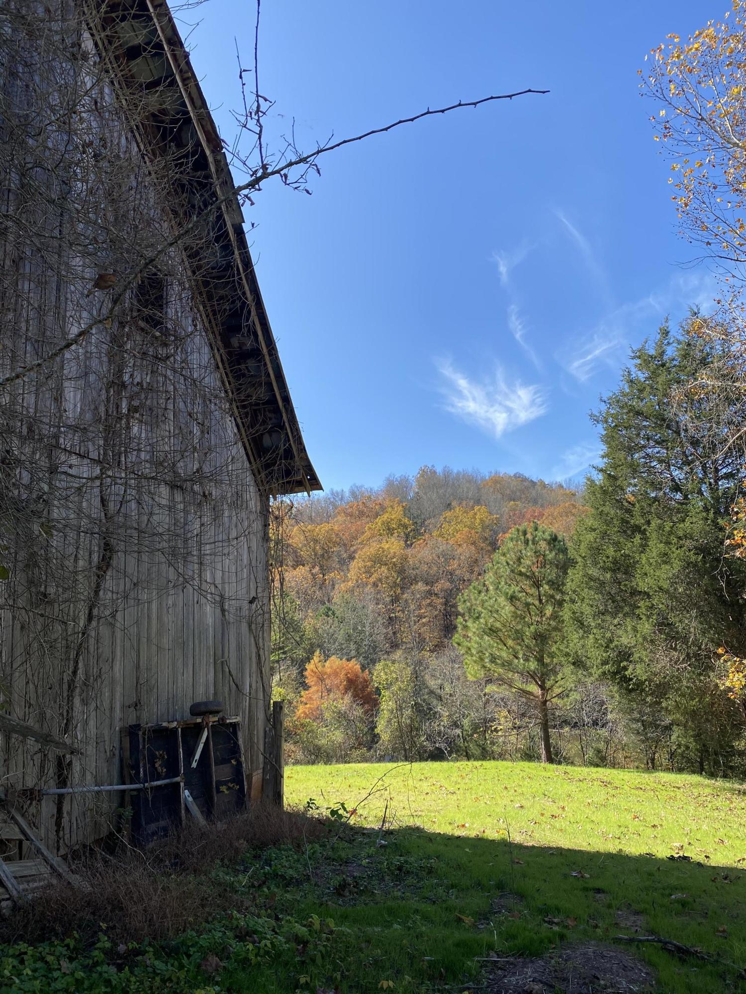 340 Bill Moser Road Vonore, TN 37885 - Photo 31 of 40 49D545F0-4E76-4191-8CD3-69D625B7FF9E
