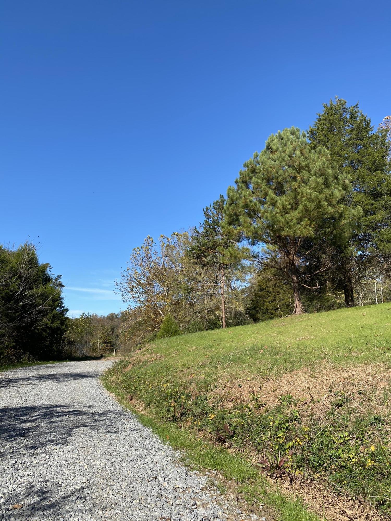 340 Bill Moser Road Vonore, TN 37885 - Photo 32 of 40 6CB15BEB-A771-4FAE-B075-41EDA28D63C6